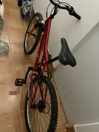 Bicicleta roja