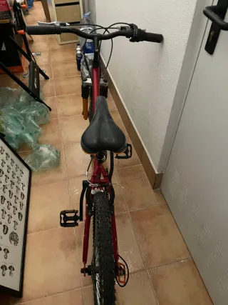 Bicicleta roja