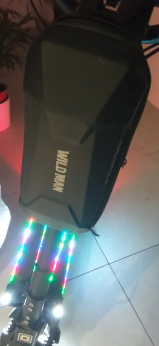 Dualtron Mini single motor