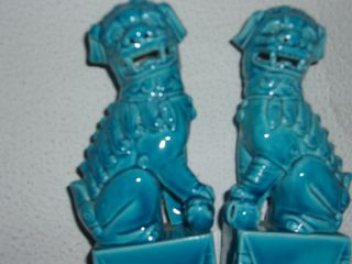 Coppia di figure decorative di cani Foo con design ispirato a draghi cinesi blu