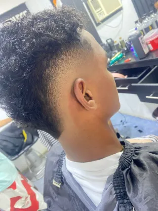 Barbero Gocho Venezolano