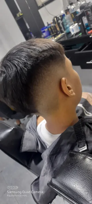 Barbero Gocho Venezolano