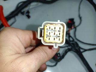 Instalacion electrica Benelli BN 125 de 2021-2024