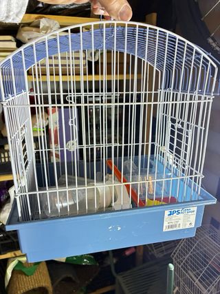 Lotto di 14 gabbie per uccelli