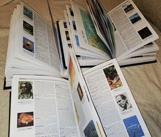 Diccionario Enciclopédico Universal