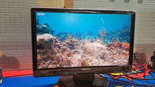 Monitor Medion 18.5 TFT MD20089 con Sonido Negro