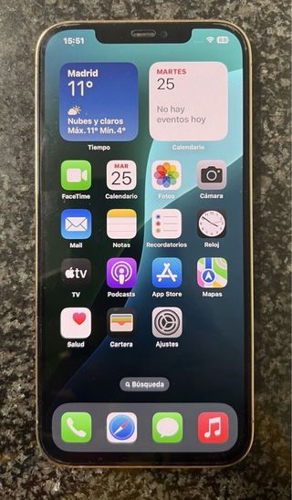 iPhone 12 Pro Max 256GB Oro + Scatola + MagSafe +