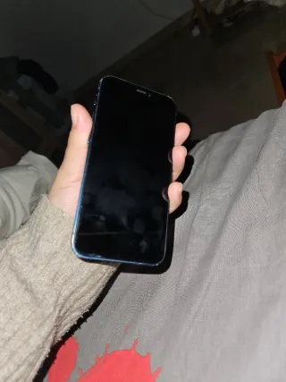 iPhone 12 Mini Recuperacion