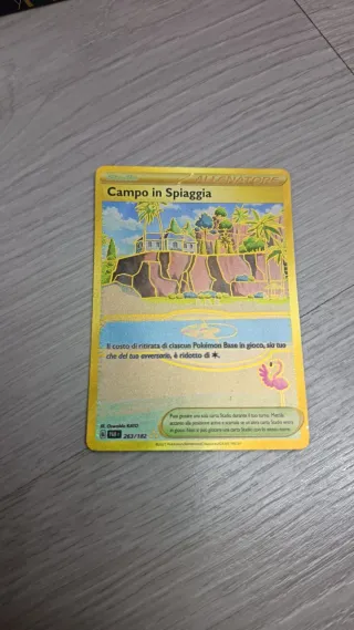 Carta Allenatore Campo in Spiaggia 263/182