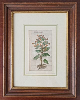 Antica Miniatura Floreale colorata a mano