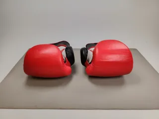 Guantes Boxeo Bruiser 14 oz