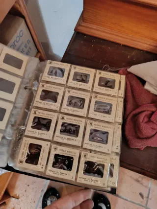 Diapositivas antiguas Léon et Minie Arthur et Pomp