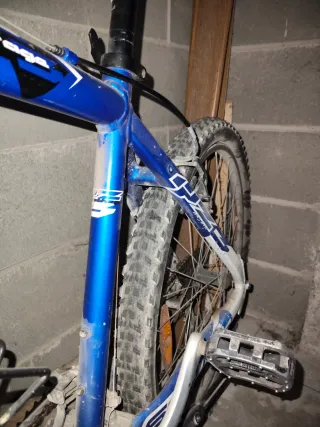 Mountain Bike Scott - Ottime Condizioni