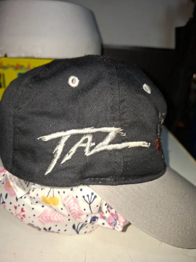 Gorra Raiders Taz