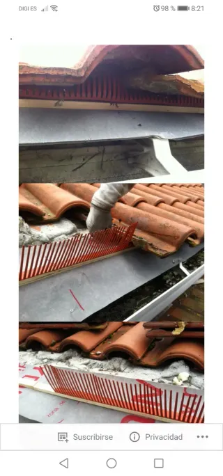 Rastrel y peine alero antipájaros