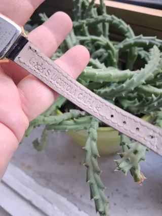 Orologio Mondia donna cinturino lucertola vintage