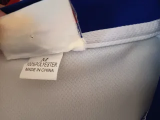 Maglia Calcio Fiorentina Batistuta 1995 96