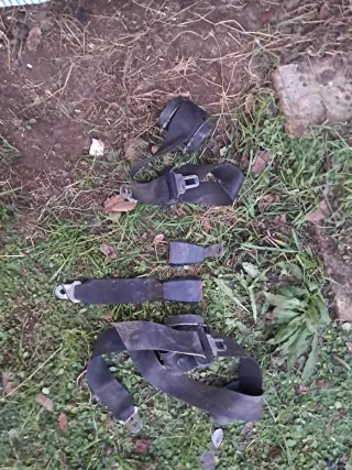 Cinturones Traseros BMW E36