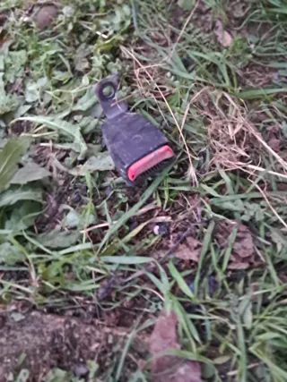 Cinturones Traseros BMW E36