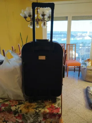 Maleta grande con ruedas