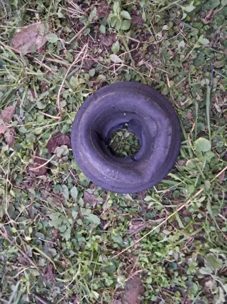 Guardapolvos cambio BMW E36