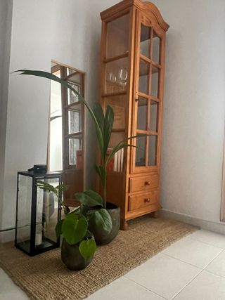 Vitrina de madera y cristal