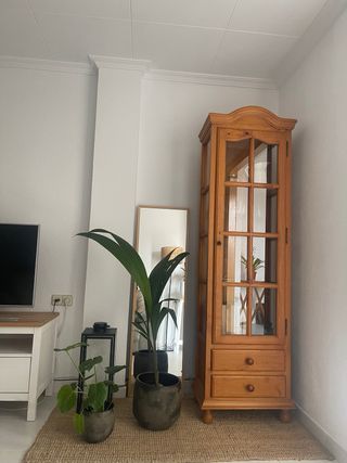 Vitrina de madera y cristal