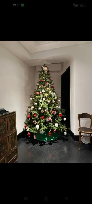 Albero di Natale 2,55m