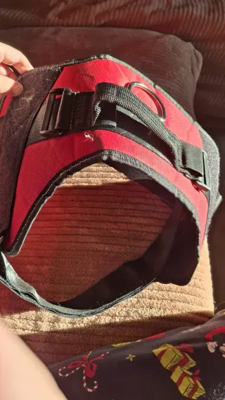 Arnés para perro rojo