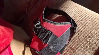 Arnés para perro rojo