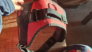Arnés para perro rojo