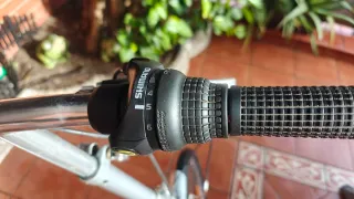 Bicicleta plegable plateada