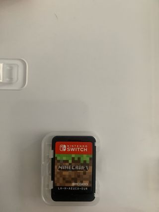 Minecraft per Nintendo Switch