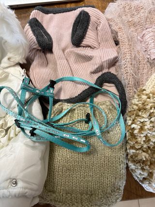 Vestitini e guinzaglio per cani