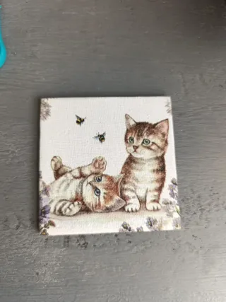Imán Gatitos y Abejas
