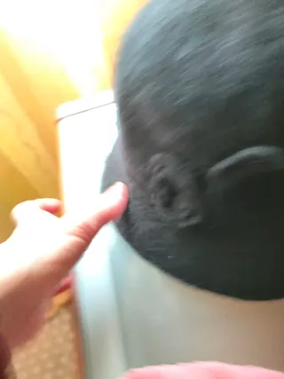 Gorra y sombrero de invierno