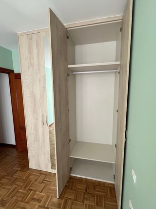 Carpintero Profesional