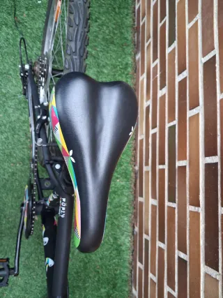 Bici 24 pulgadas 8-11 años