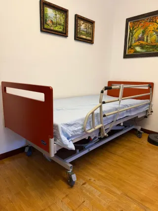 Cama articulada hospitalaria