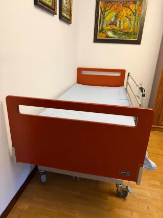 Cama articulada hospitalaria