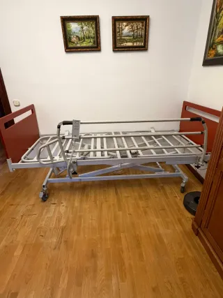 Cama articulada hospitalaria