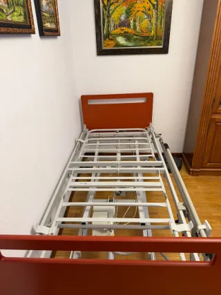 Cama articulada hospitalaria