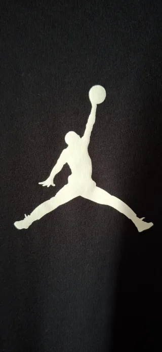 Jordan Jumpman L