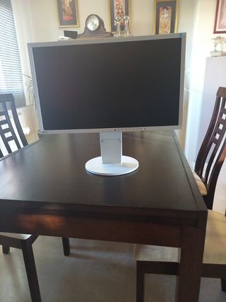 Pantalla de ordenador plata y negra