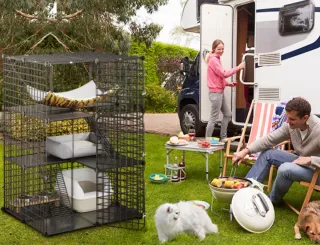 Jaula Grande Para Gatos Corral