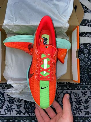 Nike Pegasus Plus Scarpe da Corsa