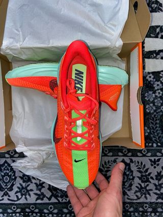 Nike Pegasus Plus Scarpe da Corsa