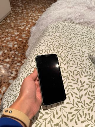 iPhone 11 Verde
