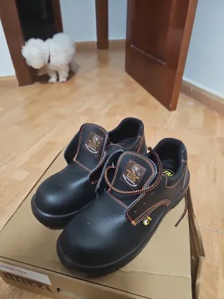 Calzado de seguridad FAL Talla 41