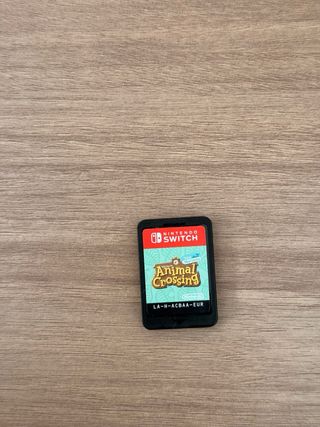 Nintendo Switch + Animal Crossing
